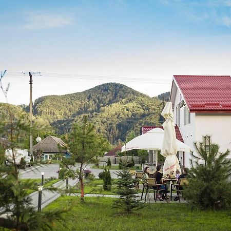 Pensiunea Lavanda, Piatra-Neamt Piatra Neamt Exterior photo