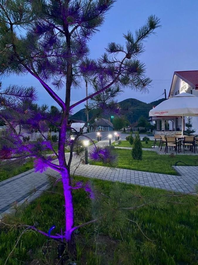 Pensiunea Lavanda, Piatra-Neamt Piatra Neamt Exterior photo